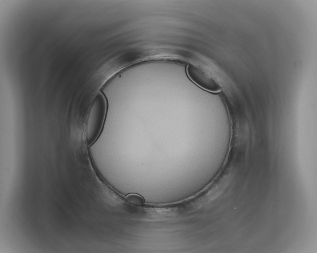 X0000111471281200908031352