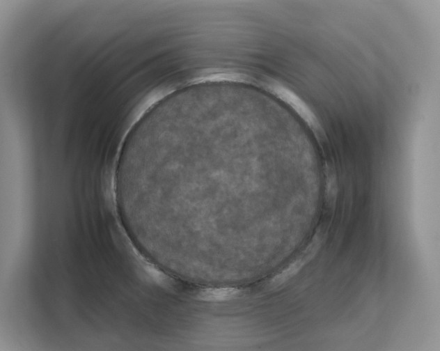 X0000111471282200908031352