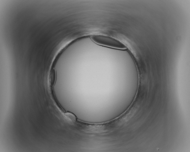 X0000111471285200908031352