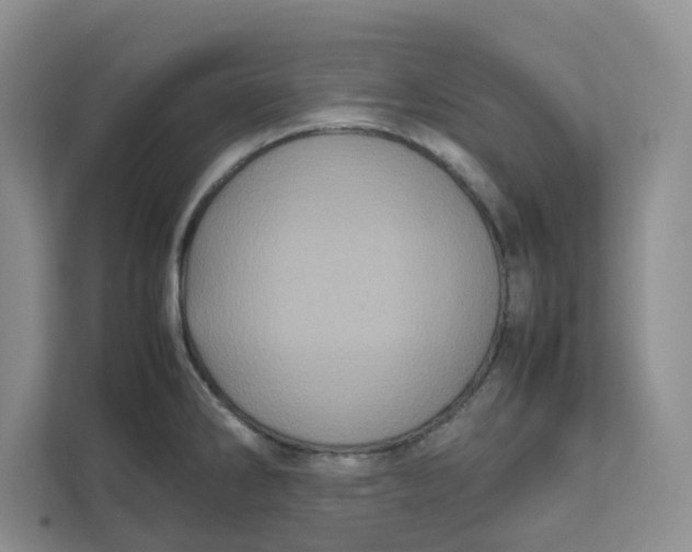 X0000111471286200908031352