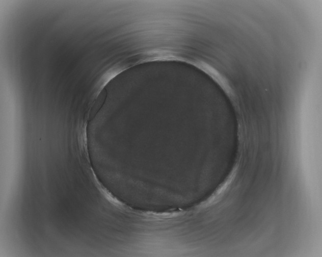 X0000111471289200908031352