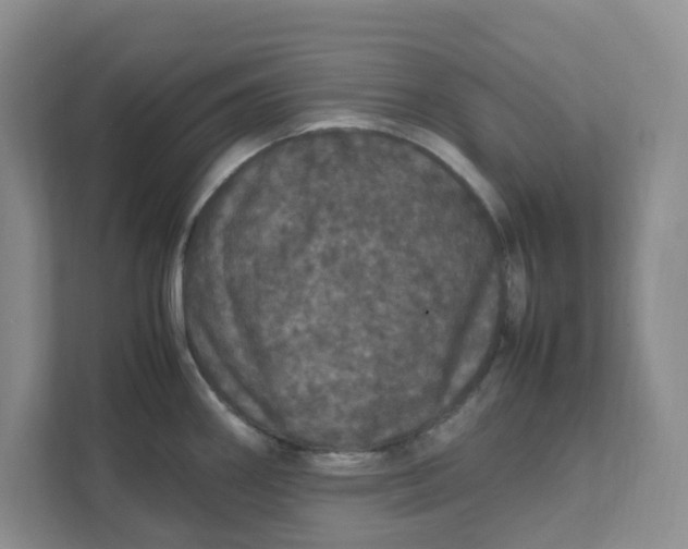 X0000111471290200908031352