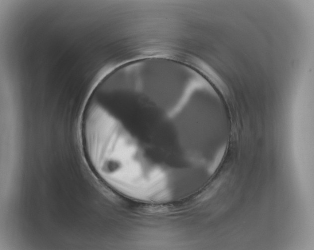 X0000111471291200908031352