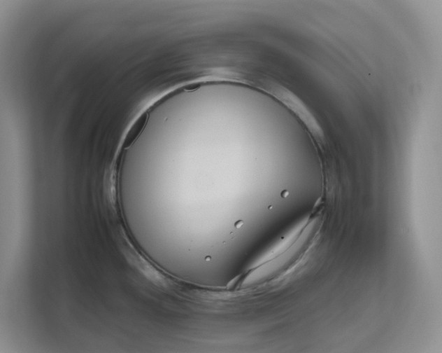 X0000111471292200908031352