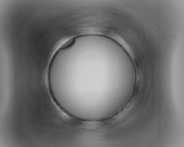 X0000111471293200908031352