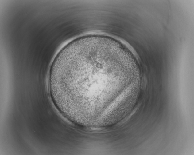 X0000111471295200908031352