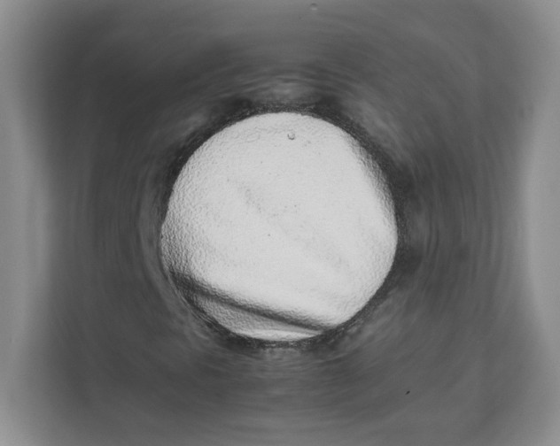 X0000111471297200908031351