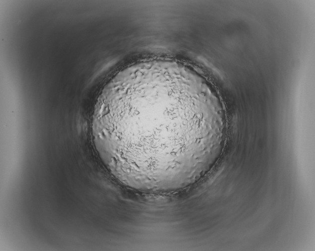 X0000111471302200908031352