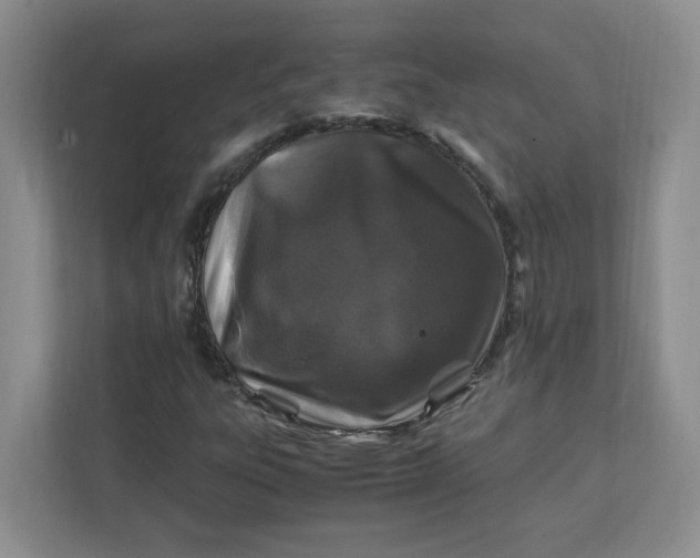 X0000111471303200908031352