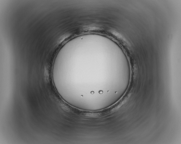 X0000111471305200908031352