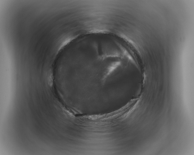 X0000111471306200908031352