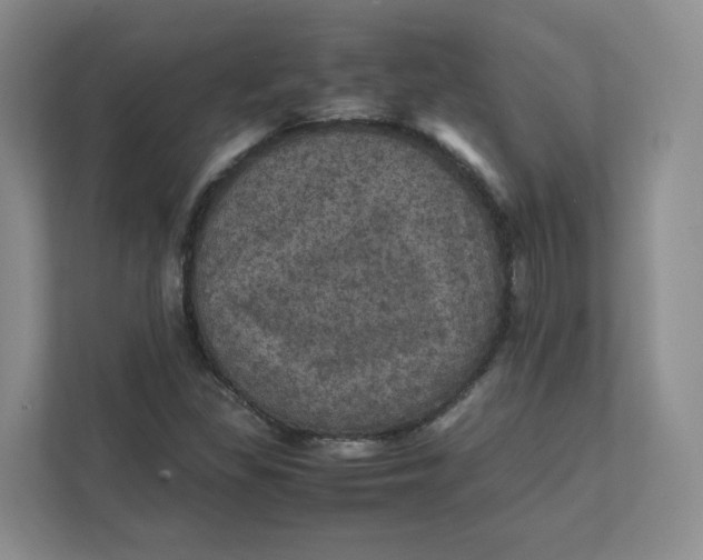 X0000111471309200908031352