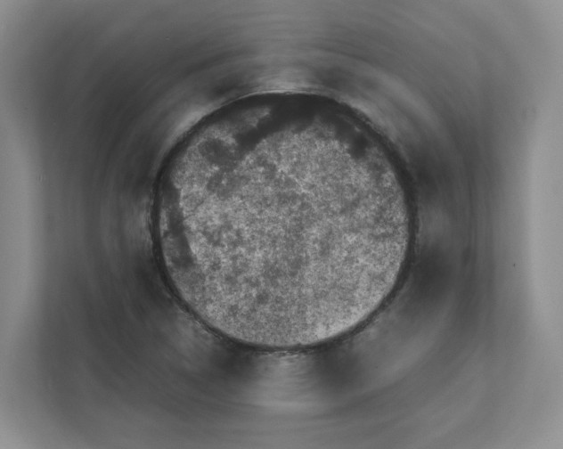 X0000111471314200908031352