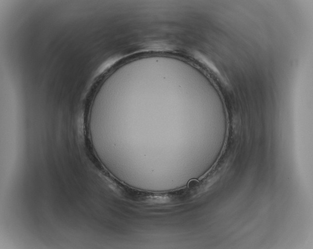 X0000111471315200908031352