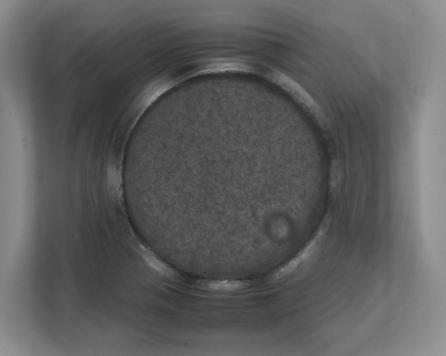 X0000111471321200908031352