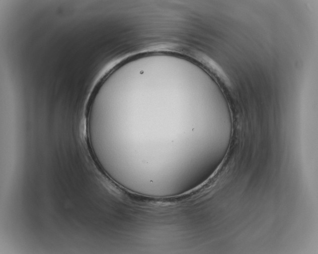 X0000111471324200908031352