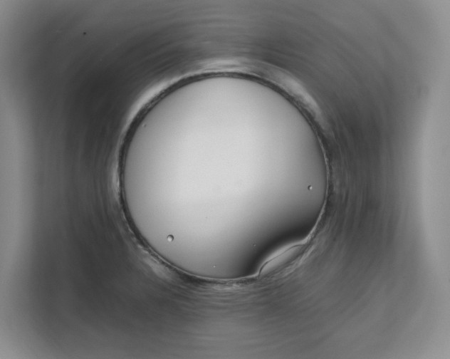 X0000111471328200908031352