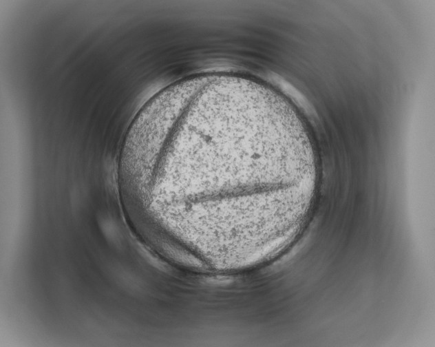 X0000111471329200908031352