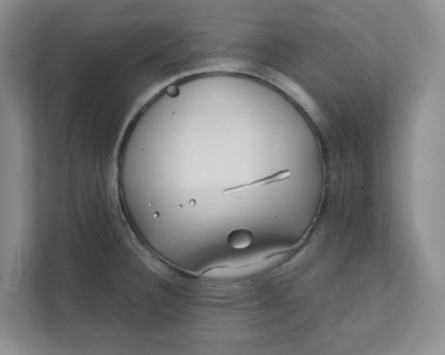 X0000111471332200908031352