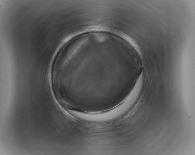 X0000111471334200908031352