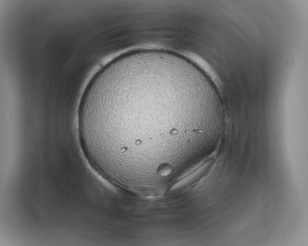 X0000111471335200908031352