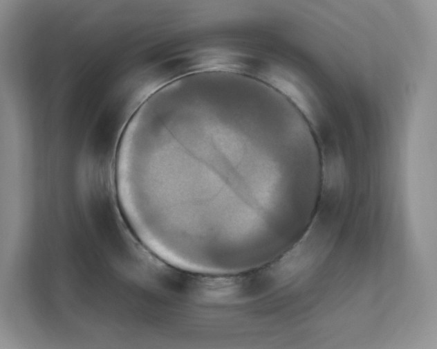 X0000111471338200908031352