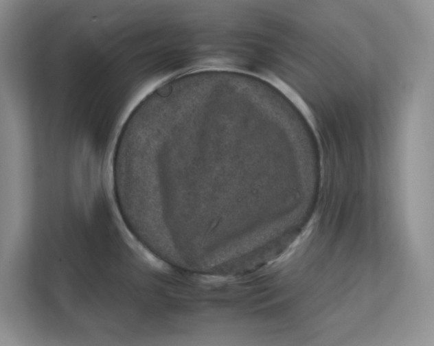 X0000111471341200908031352