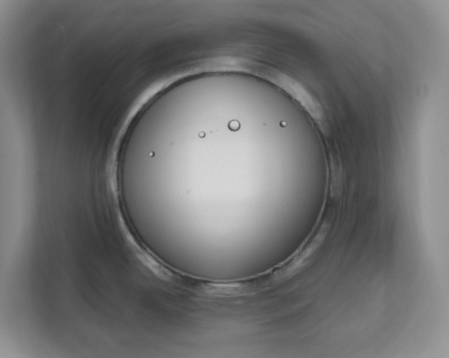 X0000111471342200908031352