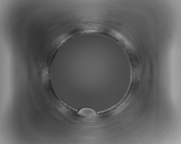 X0000111471353200908031351