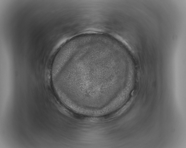 X0000111471355200908031351