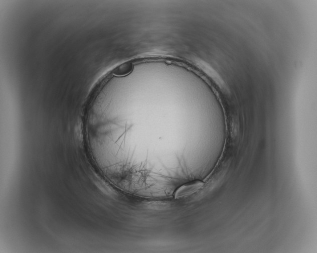 X0000111471356200908031351