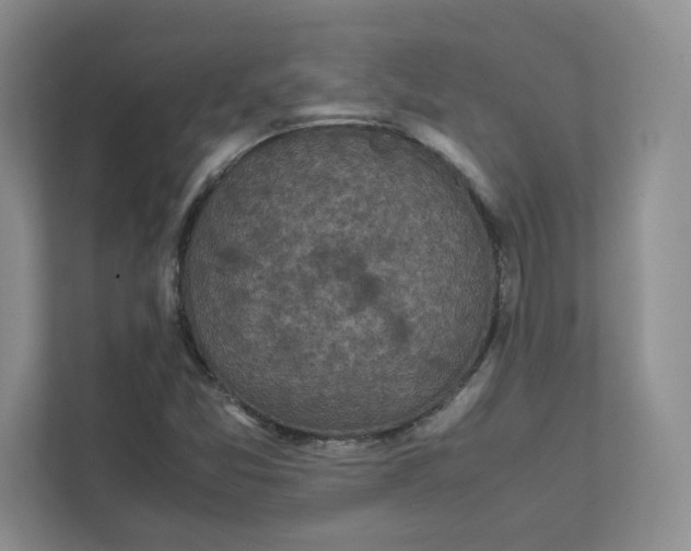 X0000111471357200908031351