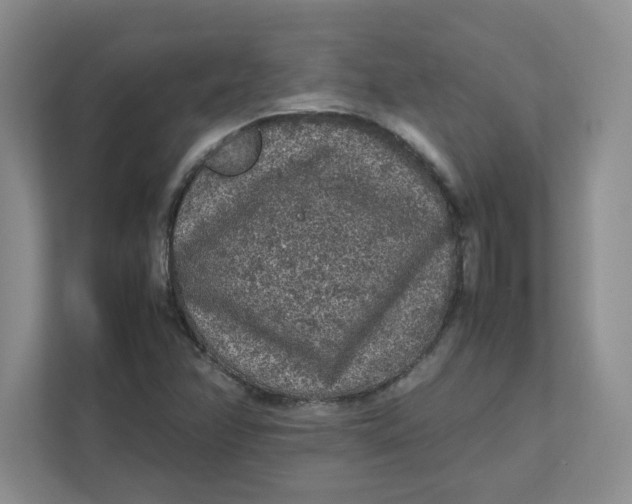 X0000111471358200908031351