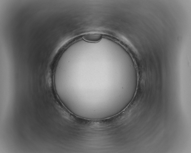 X0000111471360200908031351