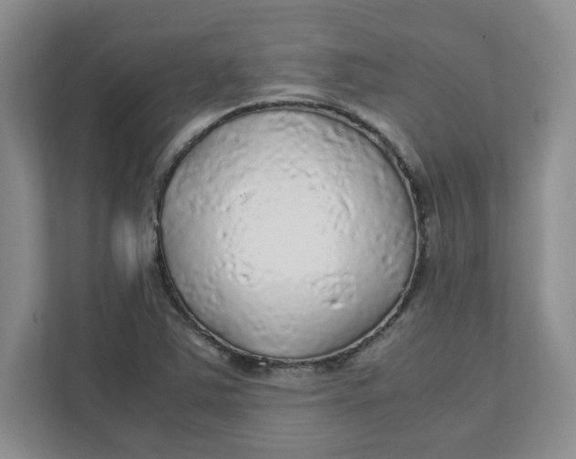 X0000111471363200908031351