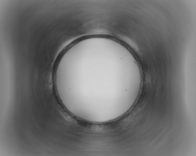 X0000111471364200908031351