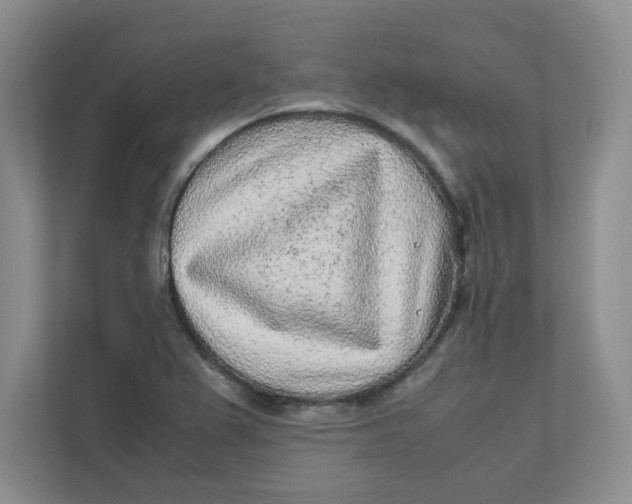 X0000111471367200908031351