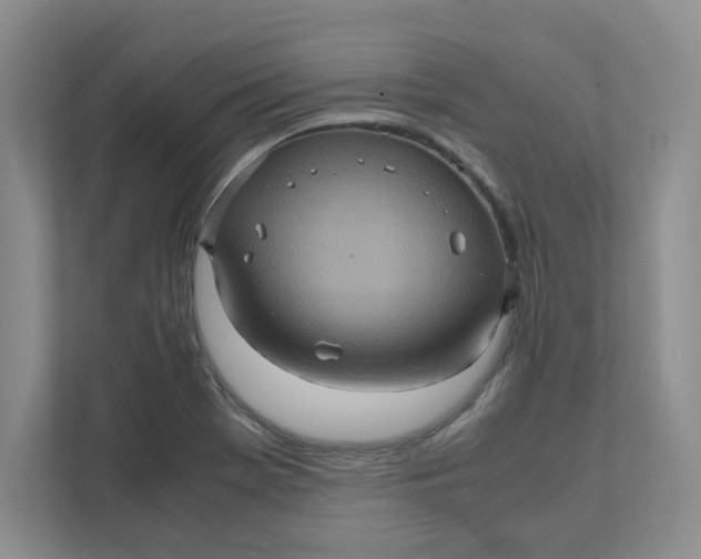 X0000111471369200908031351