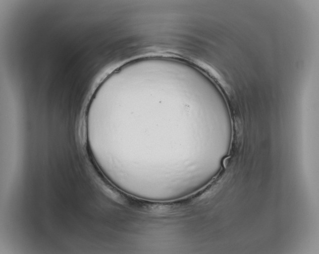 X0000111471371200908031351