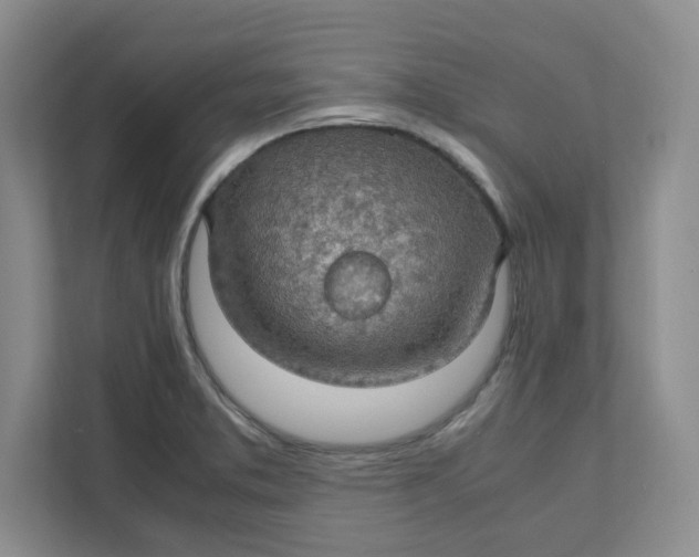 X0000111471373200908031351