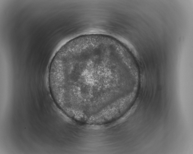 X0000111471374200908031351