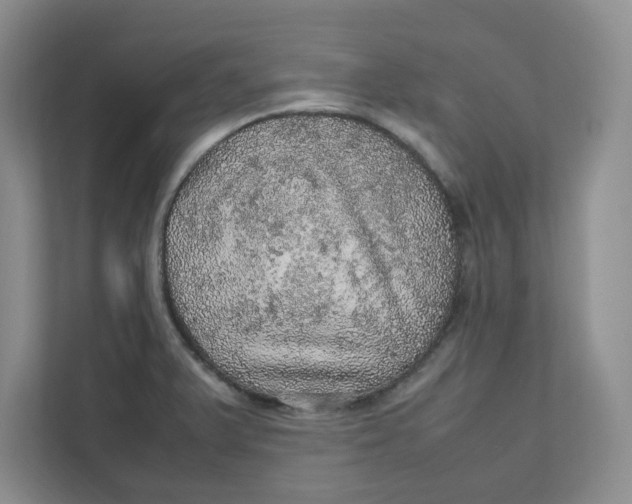 X0000111471375200908031351