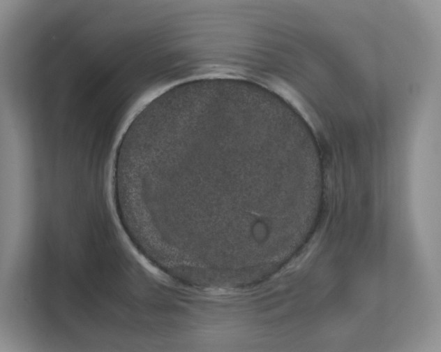 X0000111471379200908031351