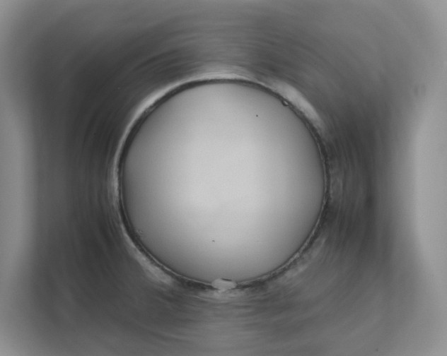 X0000111471380200908031351