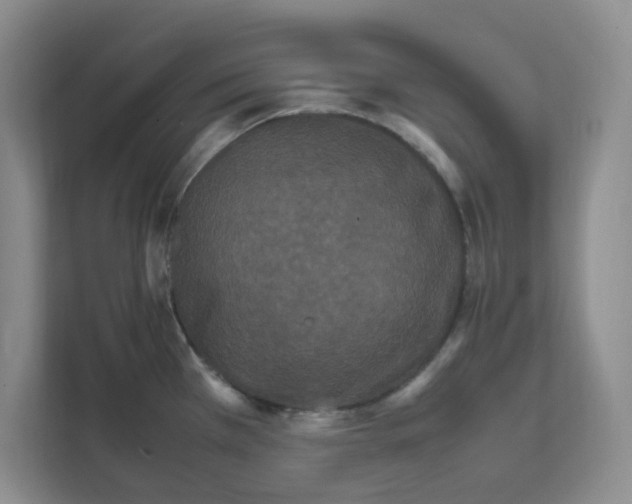 X0000111471385200908031351