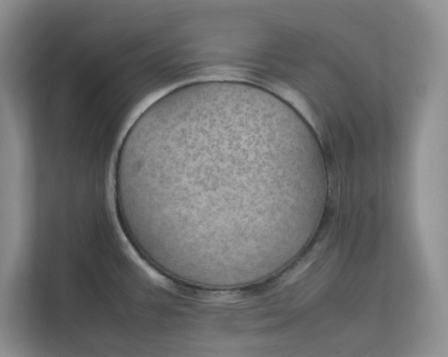 X0000111471387200908031351