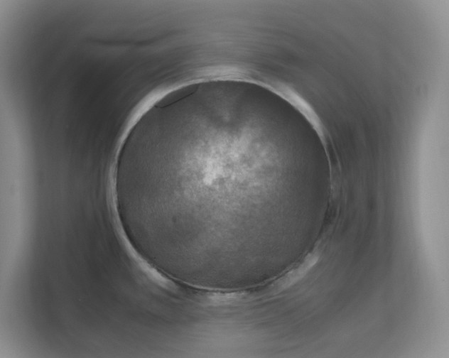 X0000111471389200908031351