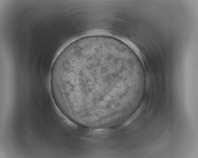 X0000111471390200908031351