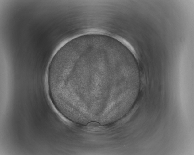 X0000111471391200908031351