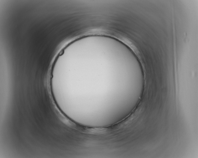 X0000111471392200908031351